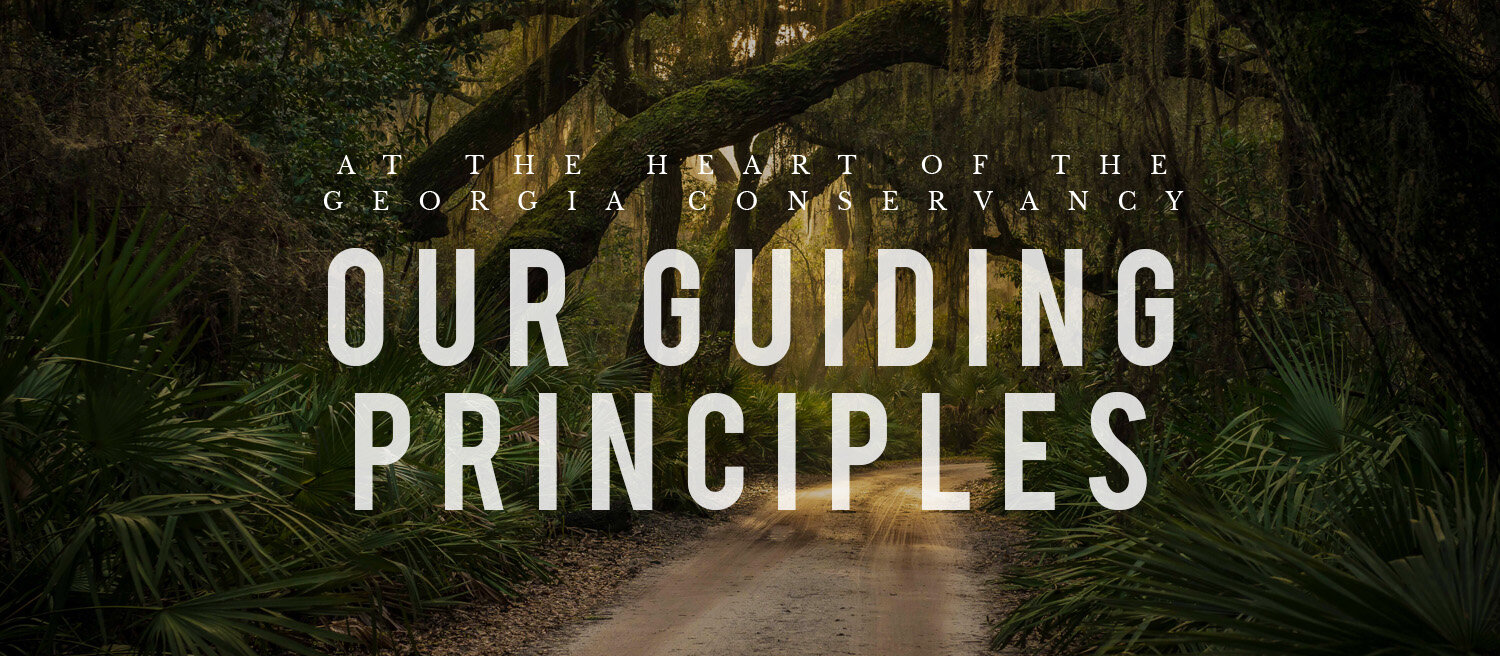 Guiding Principles Banner.jpg
