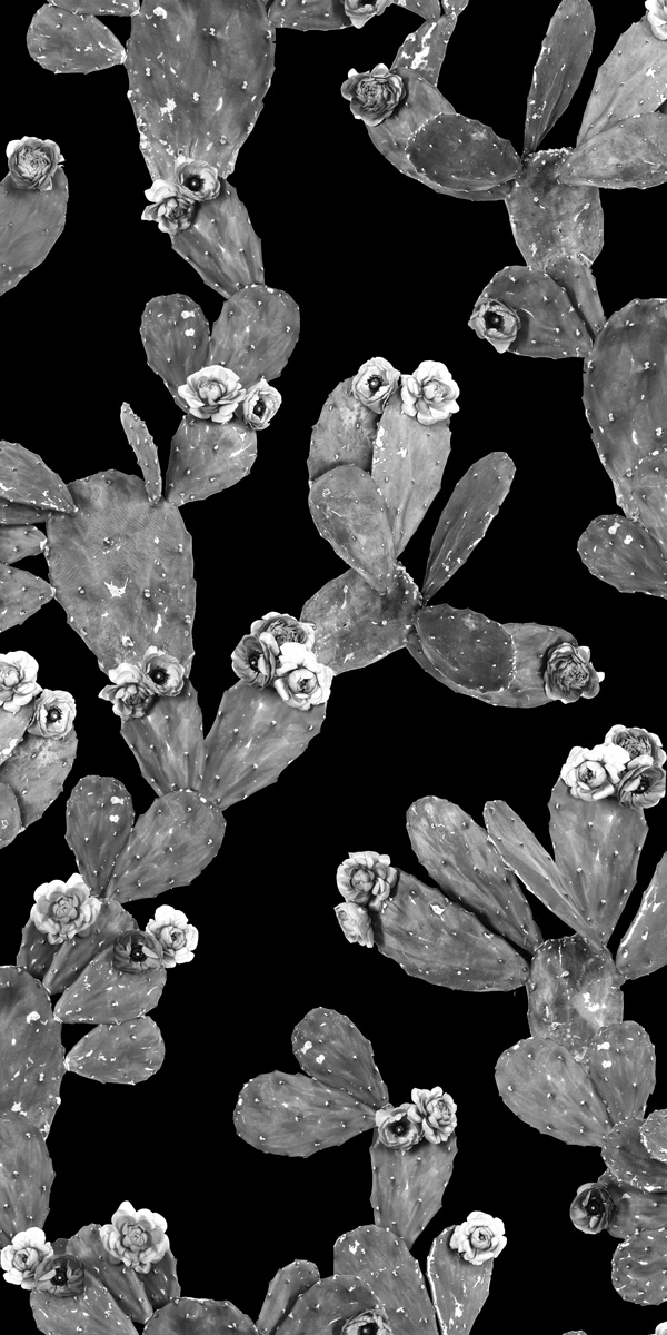 Black White Desert Blooms Removable Fabric Wallpaper Peel And