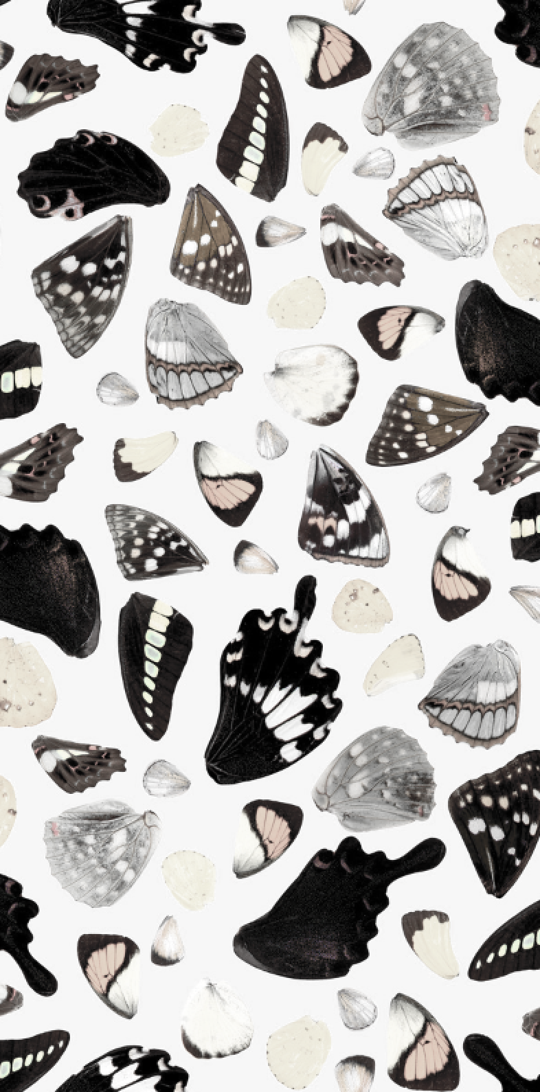 Butterfly Terrazzo Neutral Traditional Prepasted Wallpaper — SAMANTHA SANTANA Butterfly Terrazzo Neutral Traditional Prepasted Wallpaper — SAMANTHA SANTANA