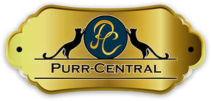 Purr-Central Luxury Cat Hotel Melbourne, Cat Motel & Cattery