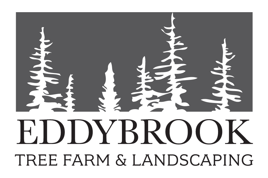 Eddybrook Tree Farm and Landscaping