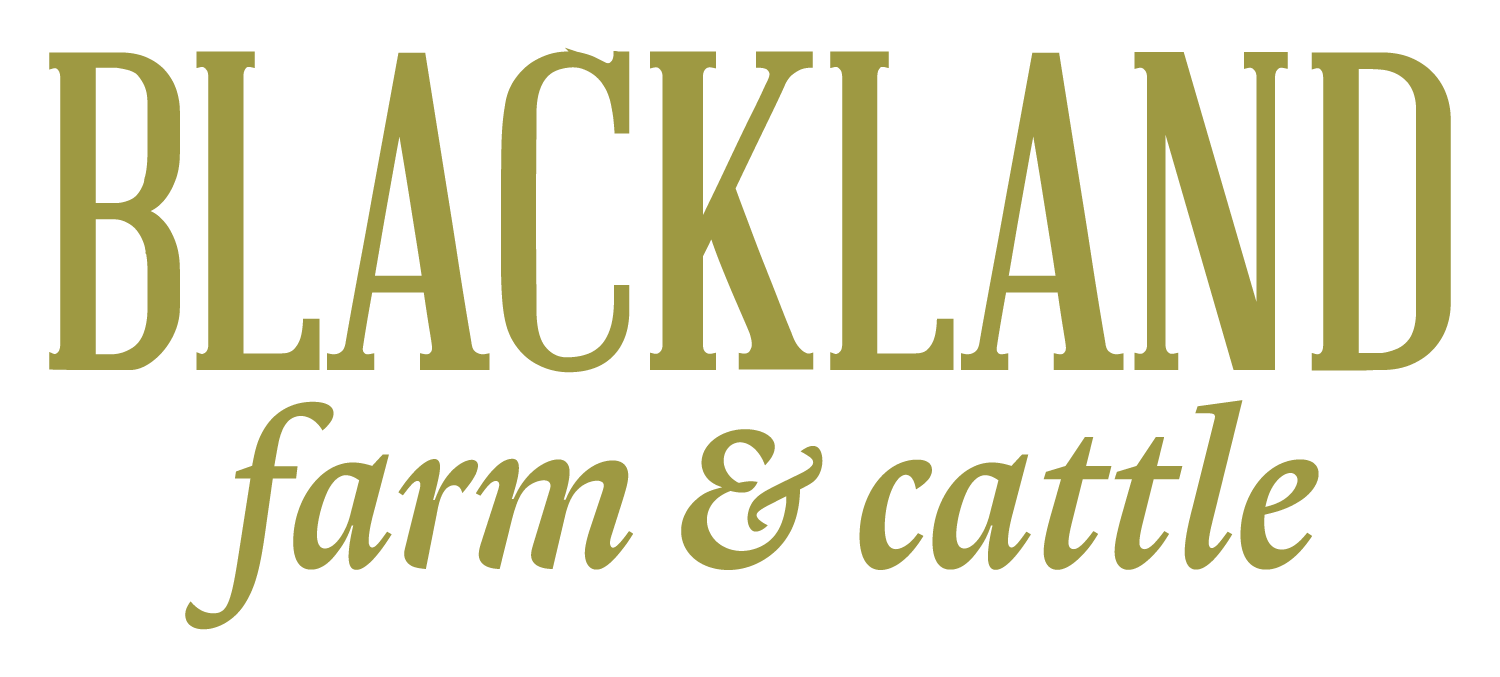 Blackland Farm &amp; Cattle