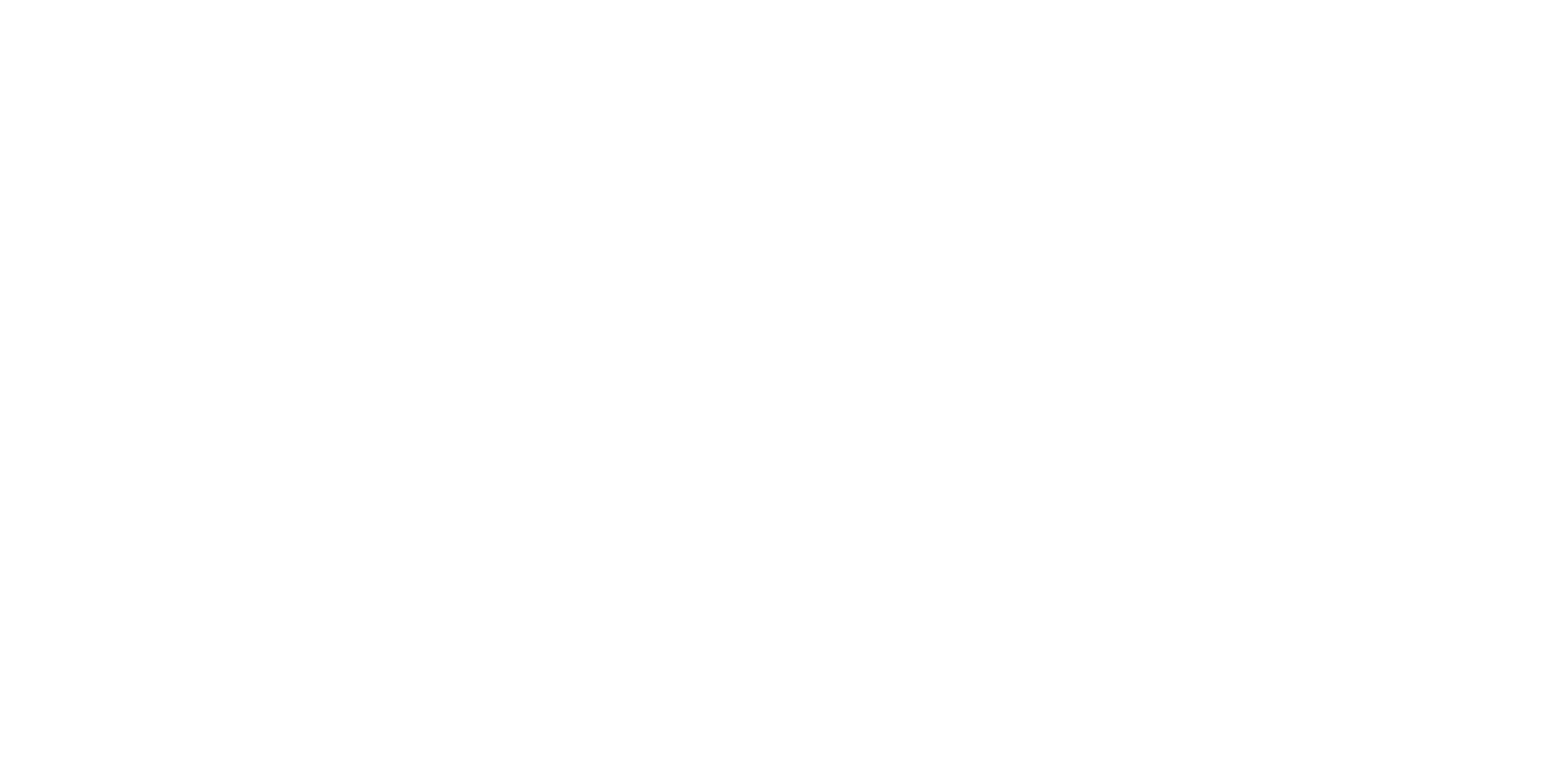 BRYAN TODD