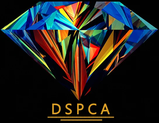 Diamond Support for Parents Carers and Advocates