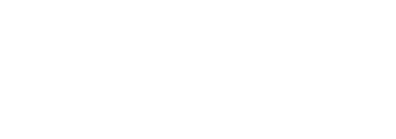 Chapin Holdings