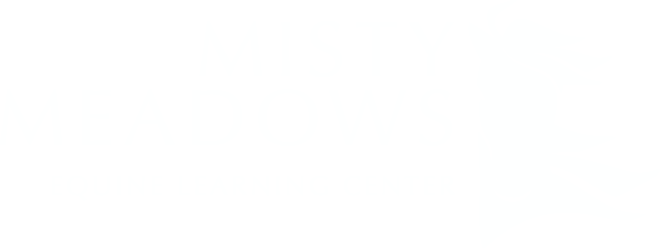 Misty Meadows Equine Learning Center 