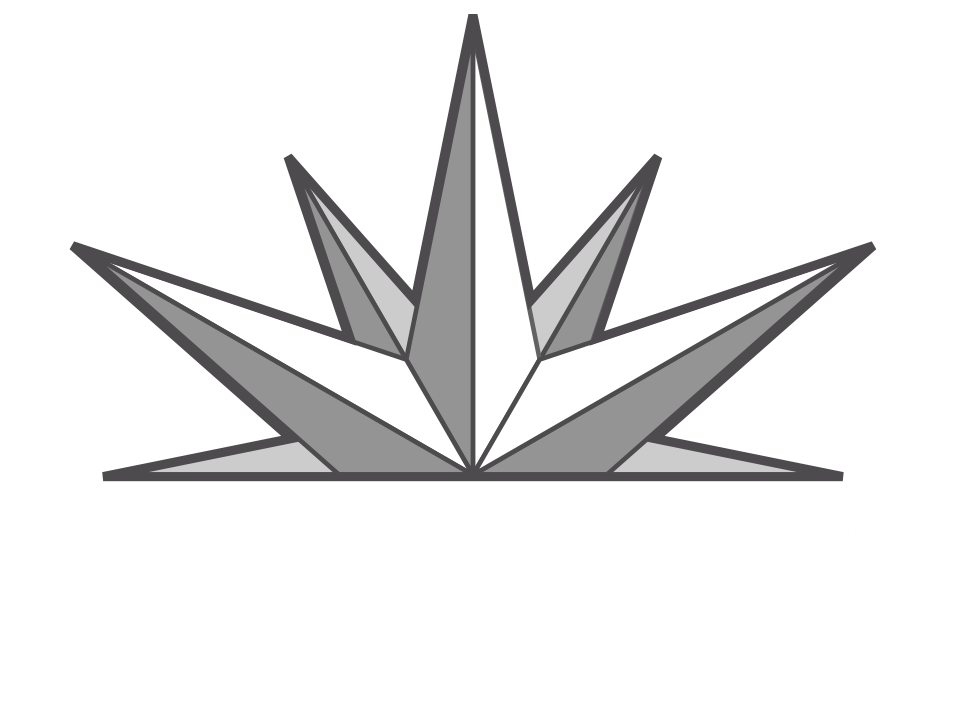 Starry's Studio