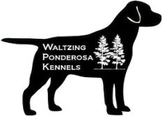 Waltzing Ponderosa Kennels