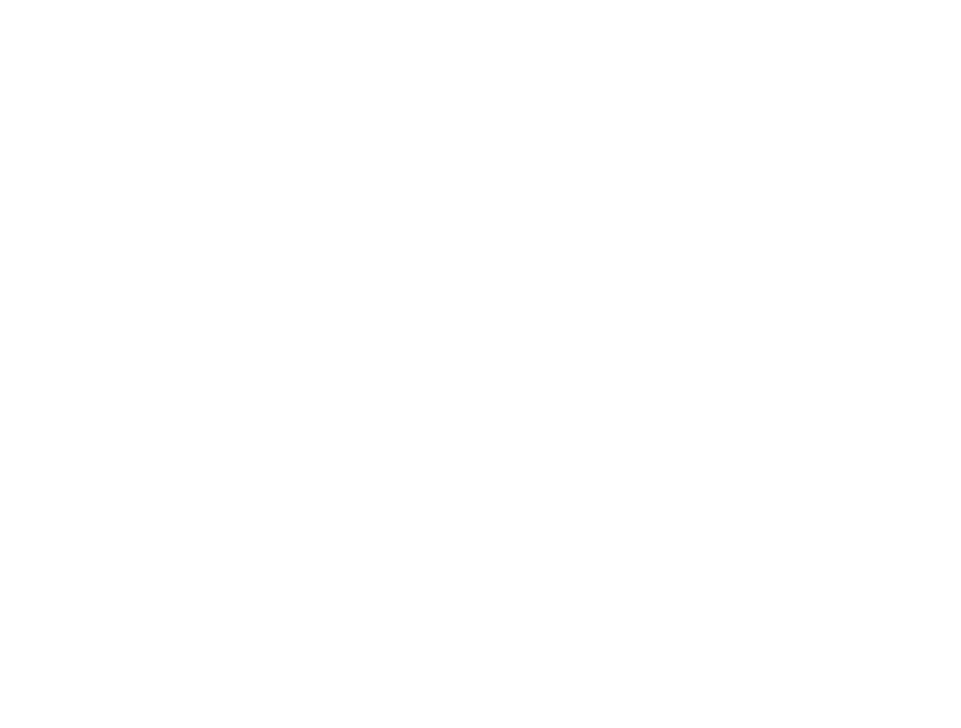 Main Field Projects