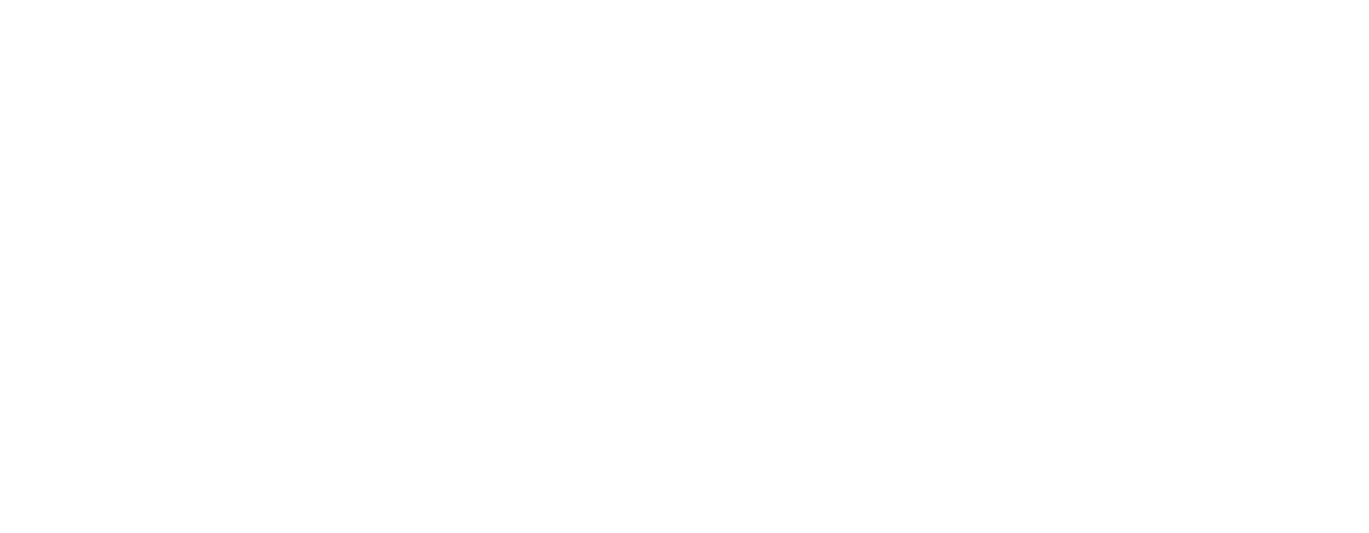 Queynte Laydies