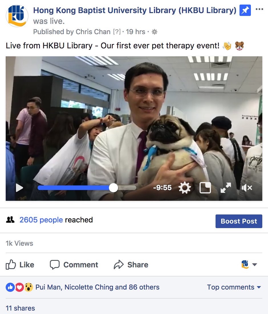 图书馆作为动物辅助治疗的场所