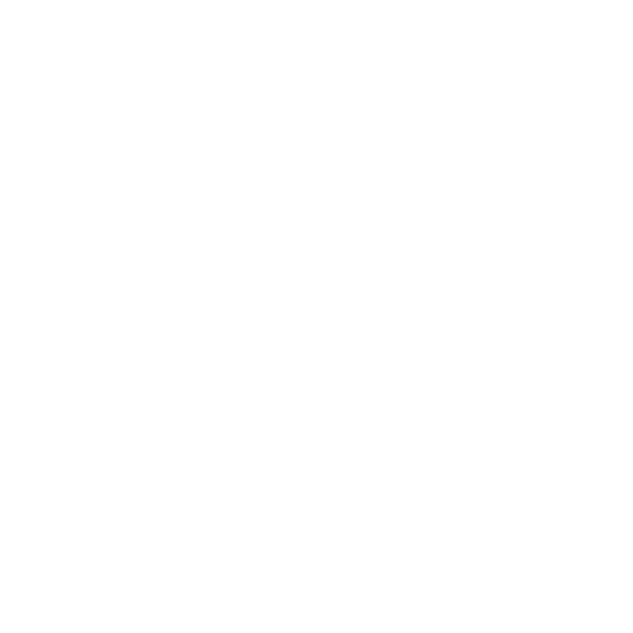 THE COUNCIL