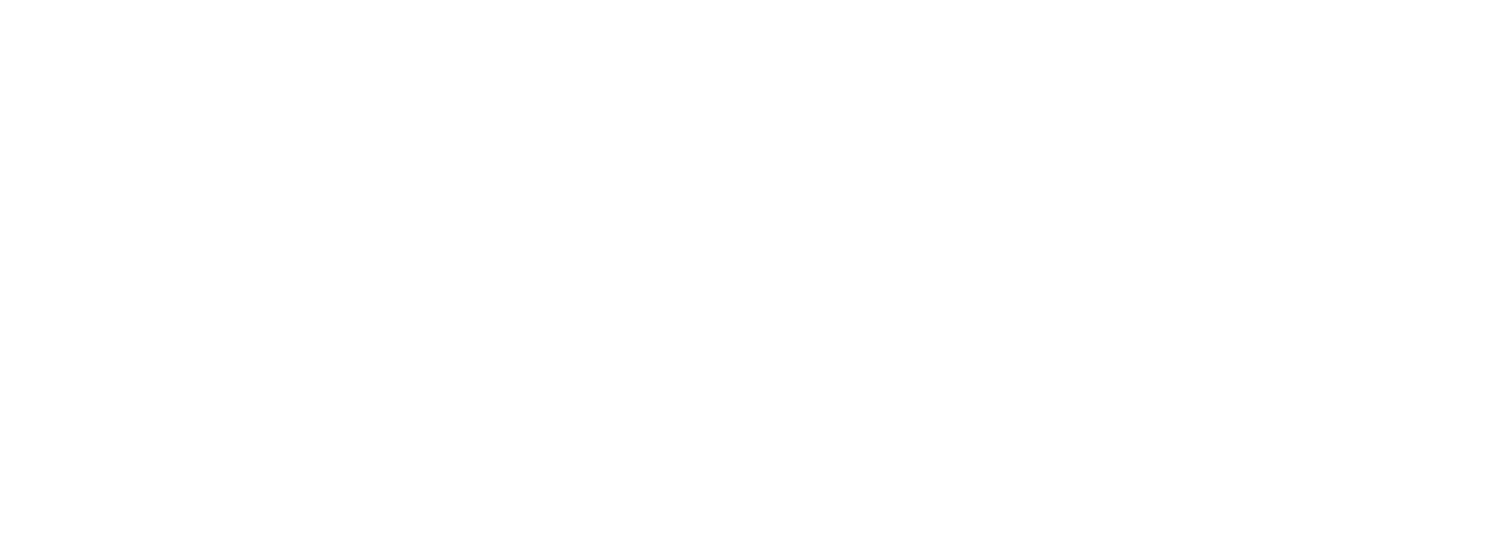 PHOENICIA PICTURES