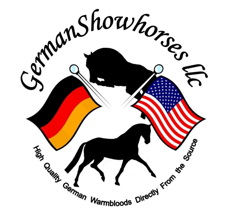 German Showhorses LLC