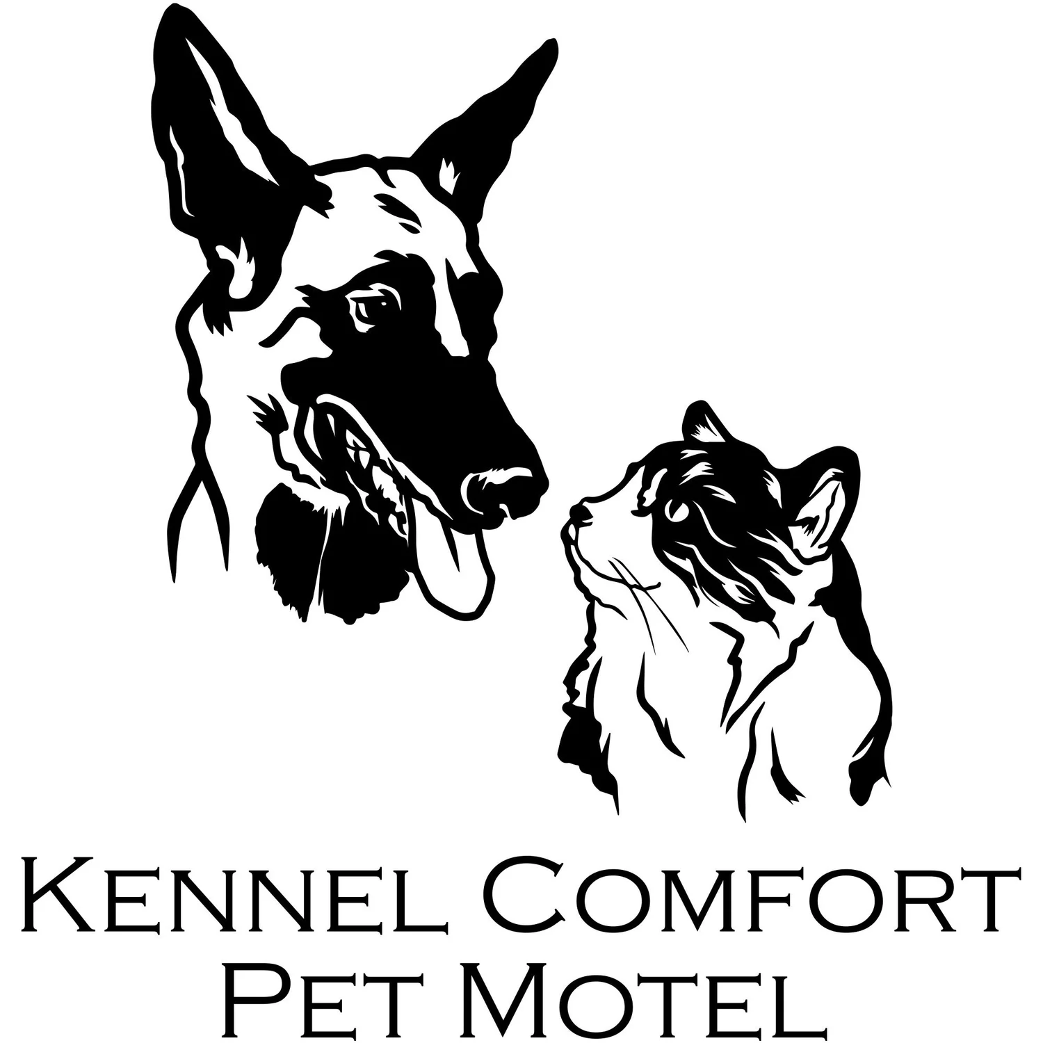 Dog Training Tucson|Tucson Dog Training|Tucson Dog Boarding|Dog and Cat Boarding Tucson| Dog Tucson|Tucson Dog