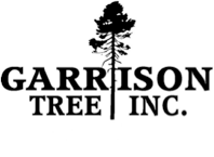 Garrison Tree