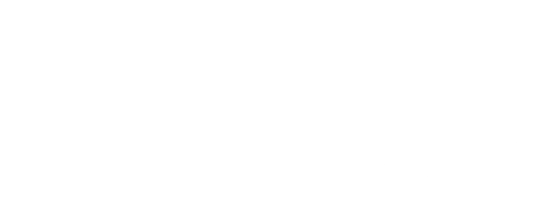 Rally Bird Brand