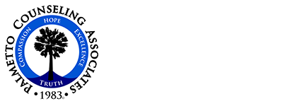 Palmetto Counseling Associates