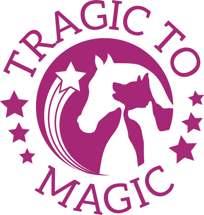 Tragic to Magic