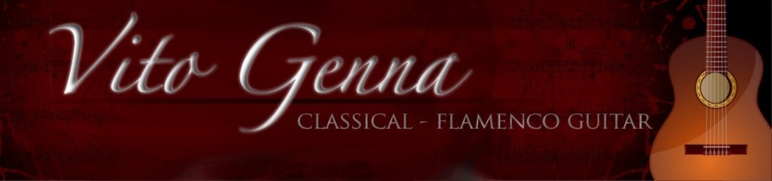 Flamenco/Classical Guitar