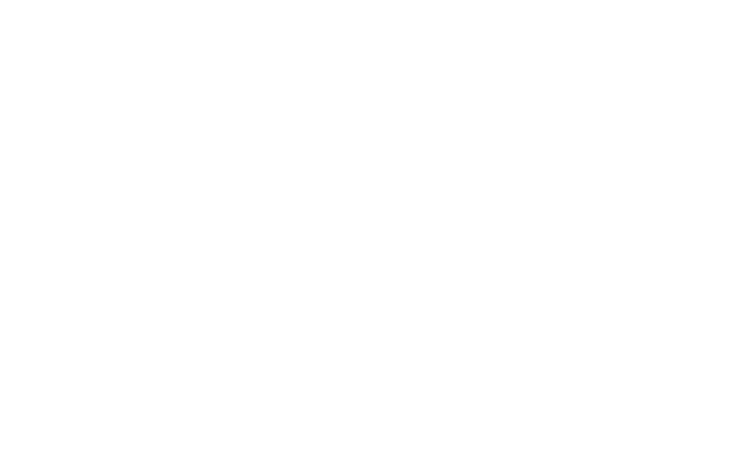 Nashua Chamber Orchestra