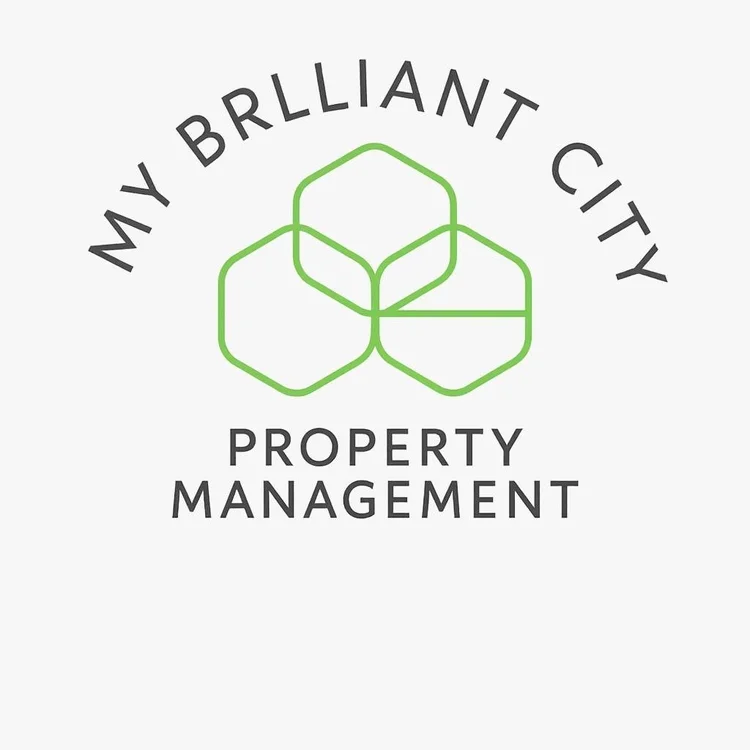 My Brilliant City