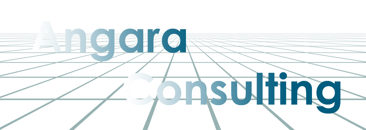 Angara Tech Consulting
