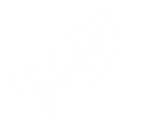 About the Oils