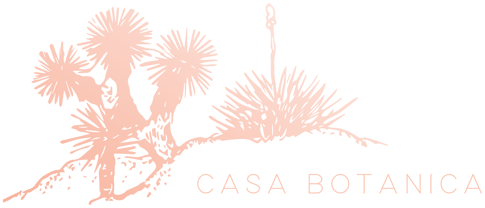 Casa Botanica