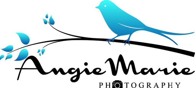 Angie Marie Photography