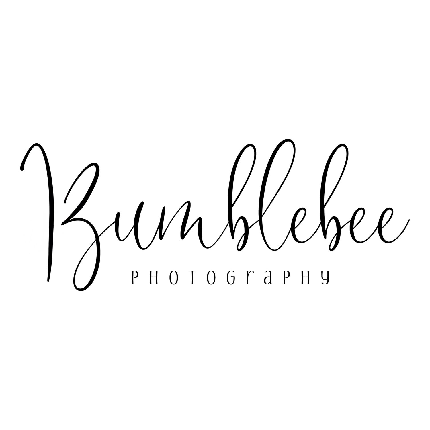 Bumblebee Photography