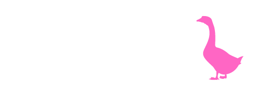 Fitness Goose Running Coach