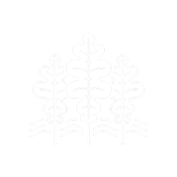 Downtown Waterfront Bellingham