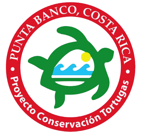 Sea Turtle Conservation Project