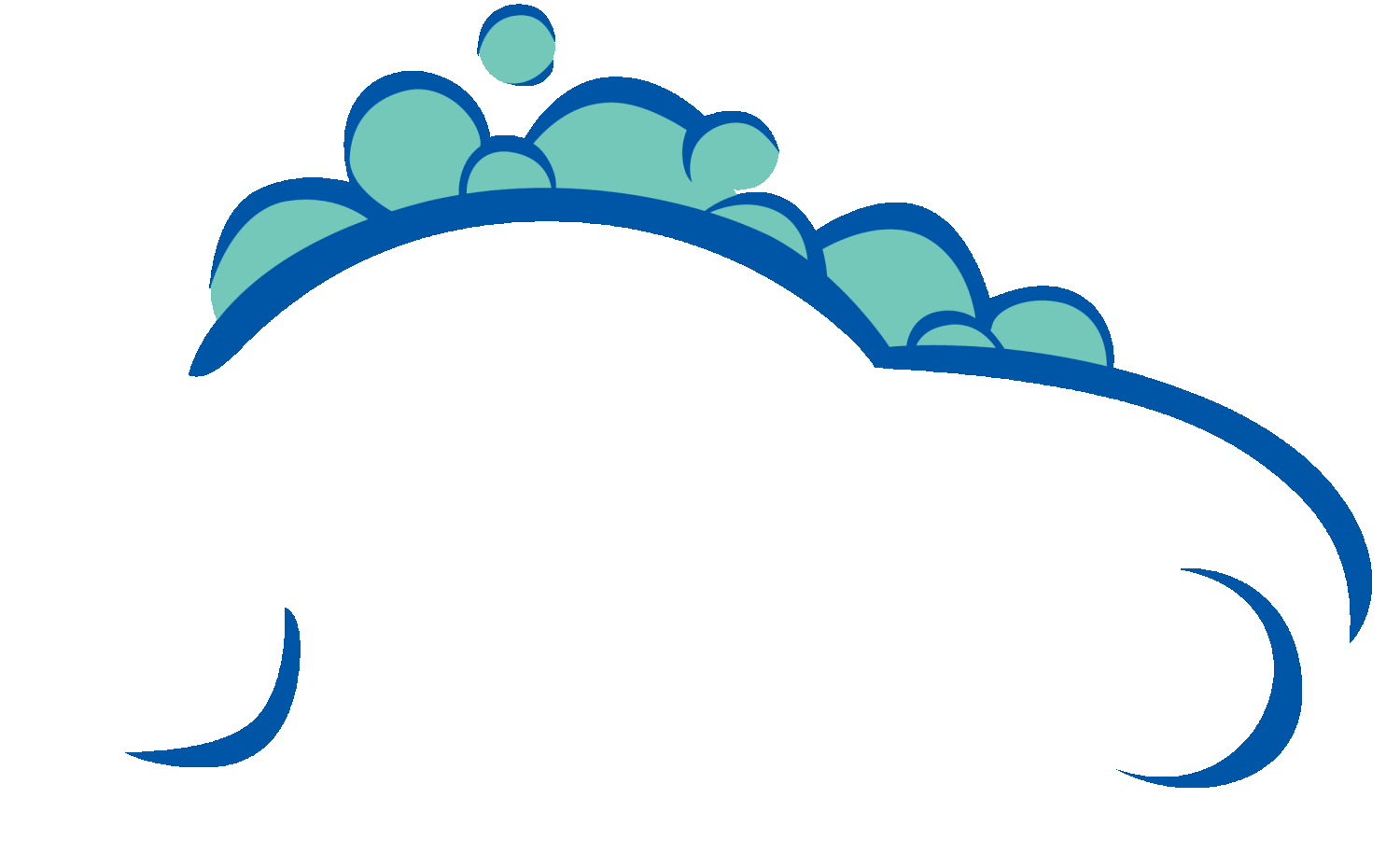 Carwash Company