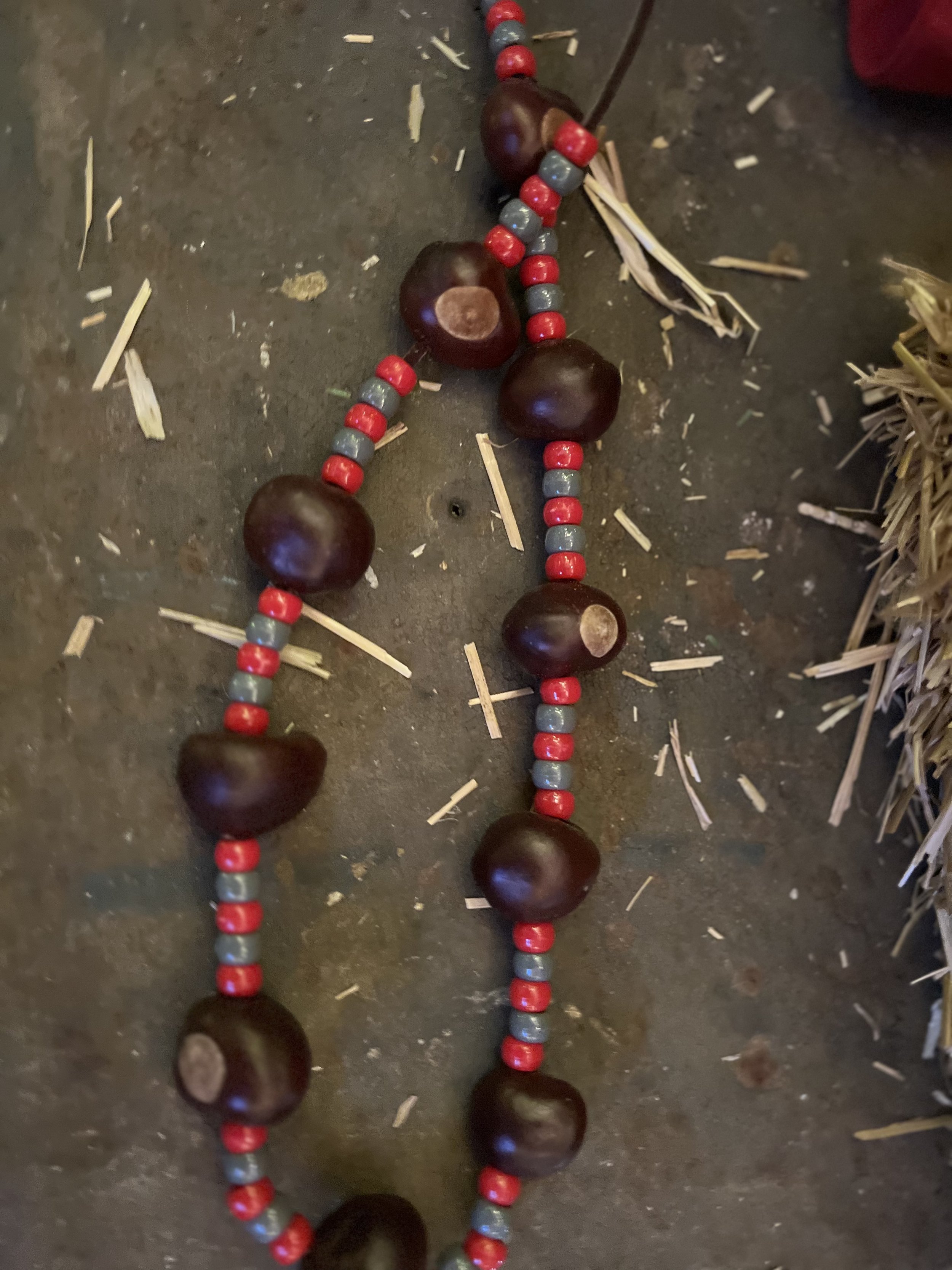 Buckeye nut hotsell necklace