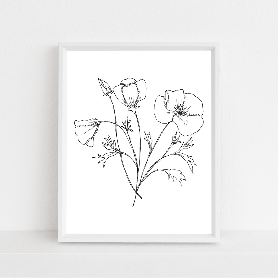 California Poppy State Flower Illustration Print Journey Home Made