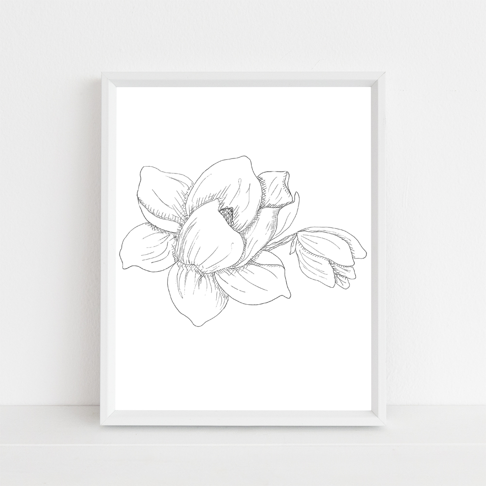 Magnolia Mississippi State Flower Illustration Print Journey Home Made