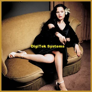 DigiTek Systems