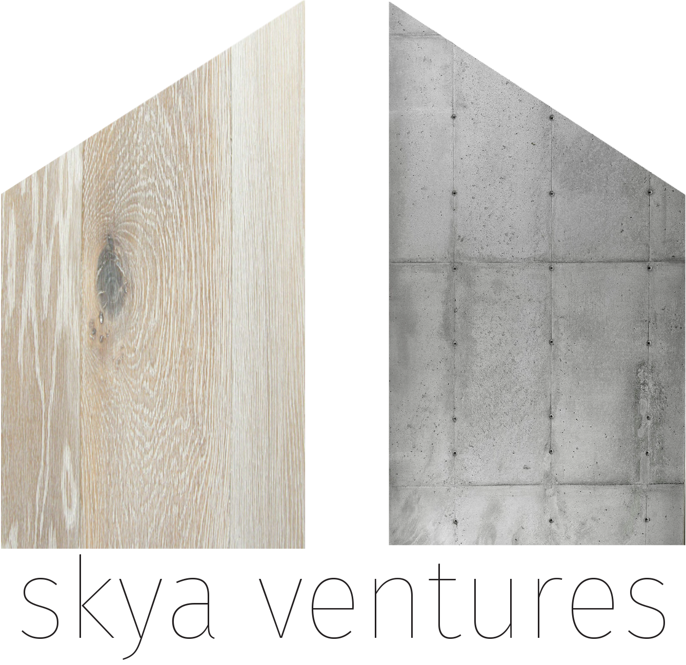 Skya Ventures