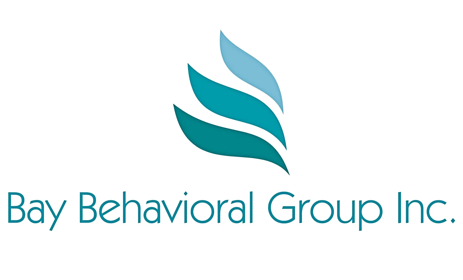 Bay Behavioral Group Inc.