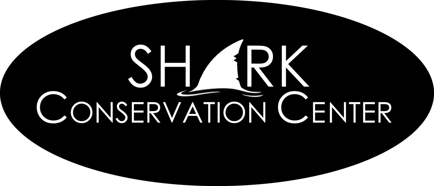 Shark Conservation Center