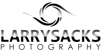Larry Sacks Photography - Headshot Photography, Personal/Professional Branding, Senior Photography, Pageant Photography