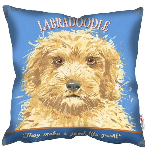 labradoodle cushion