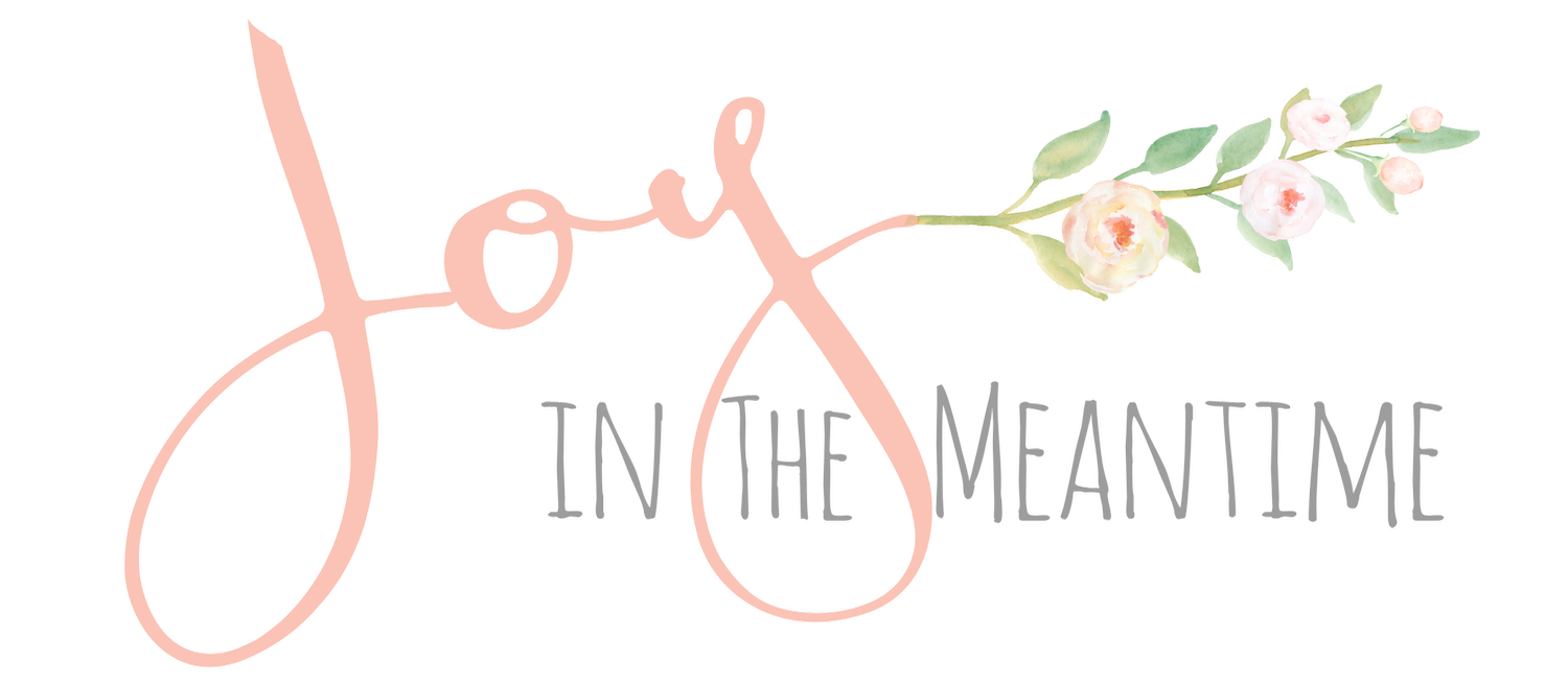 Joy In The Meantime