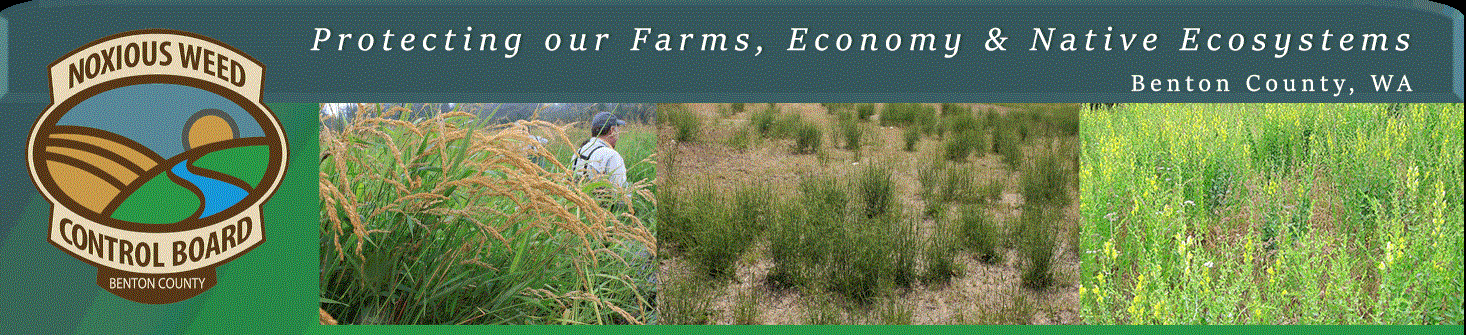 Benton County Noxious Weed Control Board