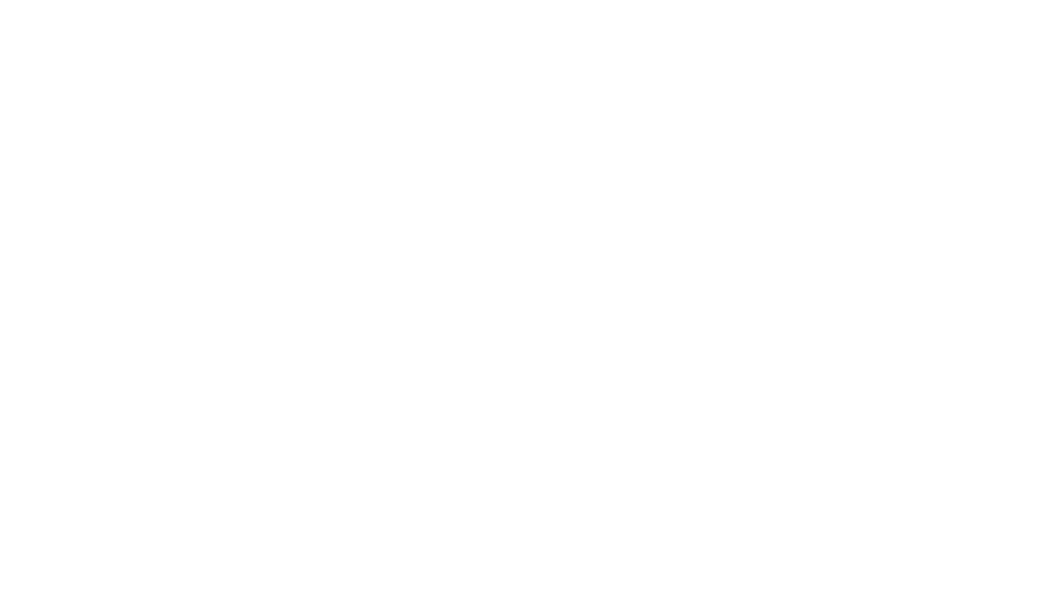 The VNYL