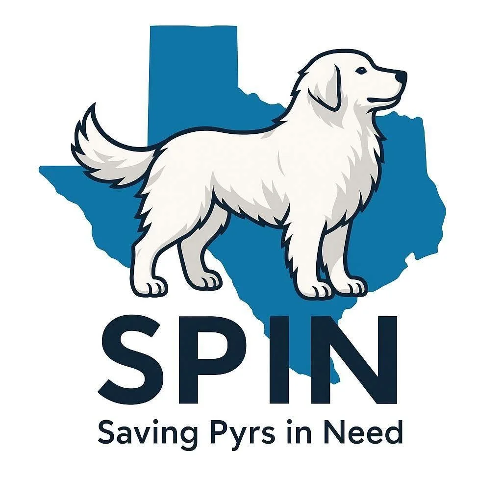 SPIN Rescue Group