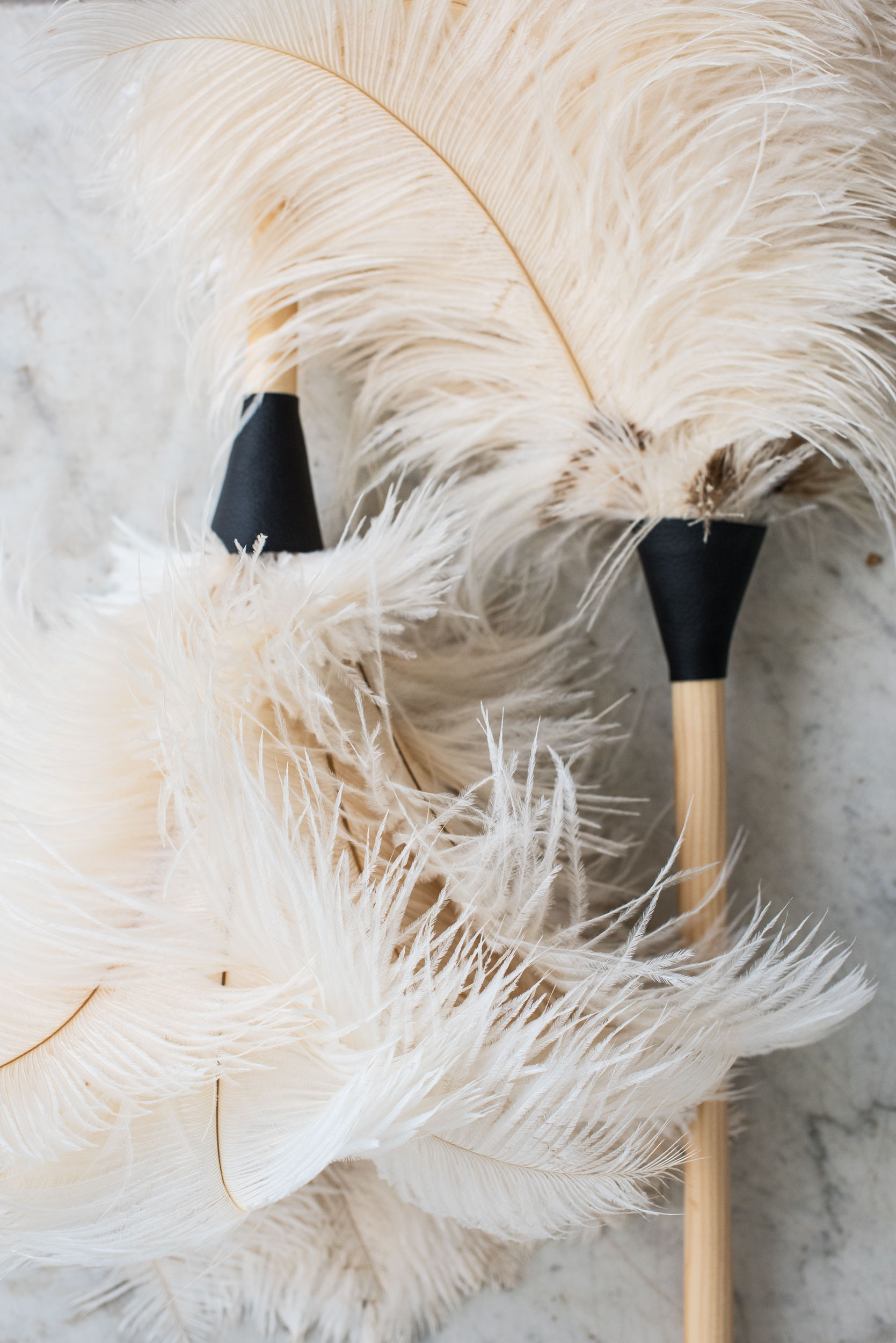 Ostrich Feather Duster Sunday Shop