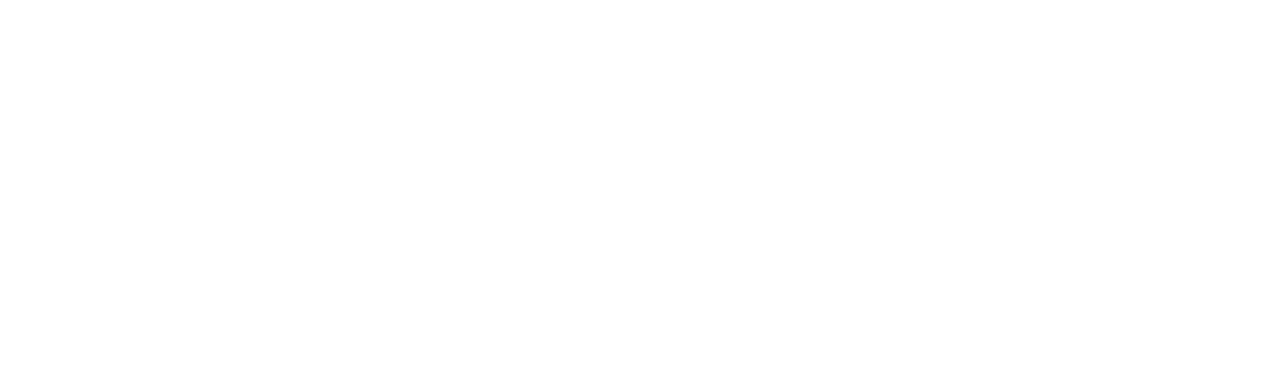 Copper &amp; Birch
